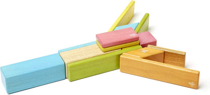 14 Piece Tegu Magnetic Wooden Block Set, Blues