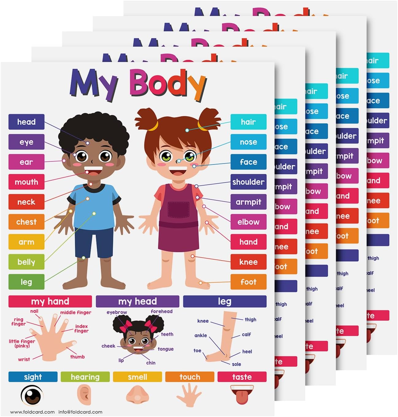Multiplication Chart Math Table Poster – Double-Sided Educational Visual/Learning Aid Poster, Bright and Colorful | Glossy Durable Cardstock | 8.5 x 11" | 5 per Pack