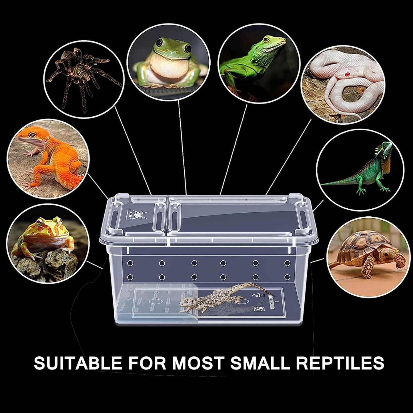 Critter Keeper Ant Farm Cane Toad Trap Little Live Pets Bug Catcher Kit for Kids Frog Habitat Turtle Tank Reptile Terrariums Lizard Cage Fish Bowl Beach Aquarium Catch and Release