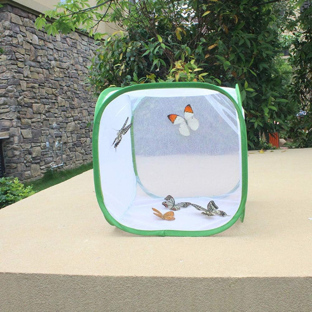 Foldable Butterfly Habitat, Butterfly Cage for Caterpillars, Create Farm, Enclosure for Breeding Soldier Fly, Dragonfly, or Housefly for Chicken and Reptile Feed (30 * 30 * 30cm)