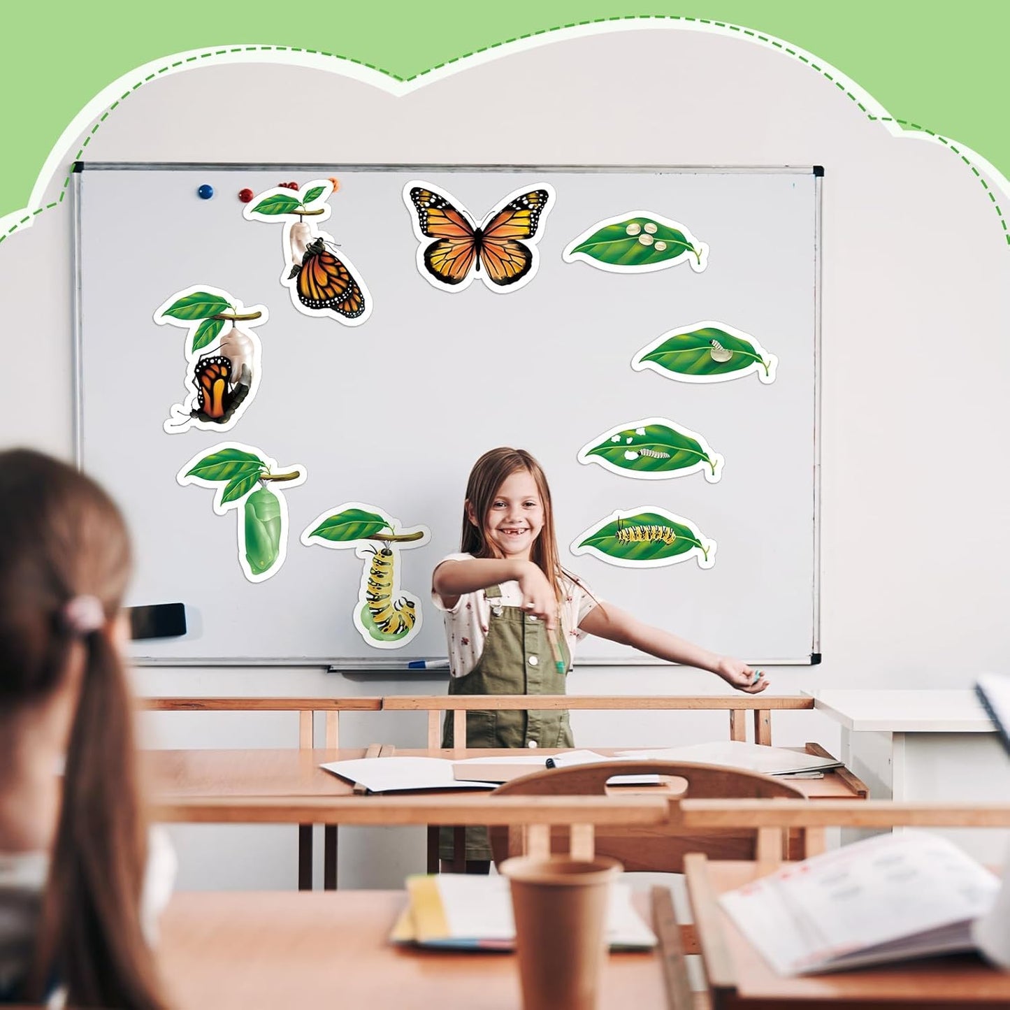 Relaxweex 30 Pcs Giant Magnetic Plant Butterfly Frog Life Cycle Growth Learning Education Toy Science Exploration Activities Resources Educational Preschool Material, Homeschool Classroom Teaching Aid