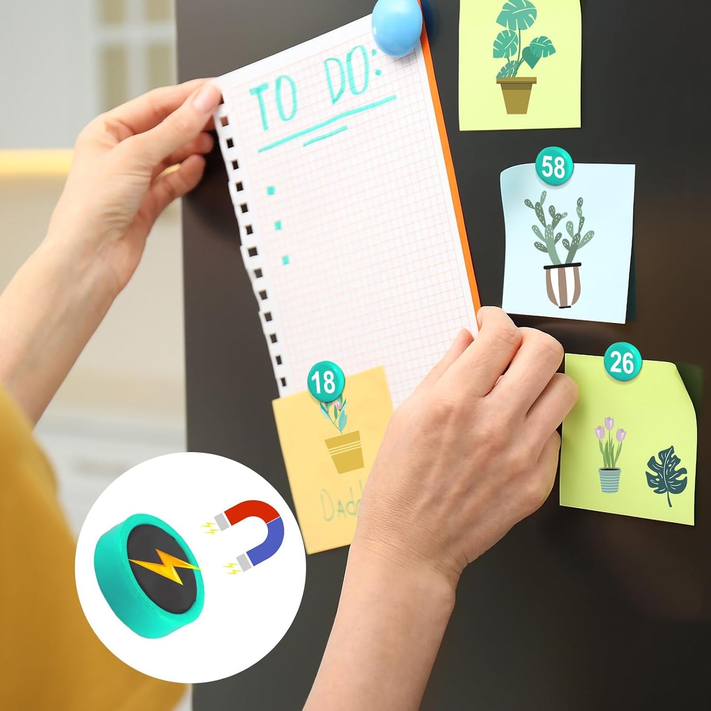 1-50 Magnetic Numbers, 0.8" Multi-Use Numbered Magnets Round Dry Erase Board Number Magnets for Fridge Calendar Whiteboard Home Classroom Office Supplies (Green)