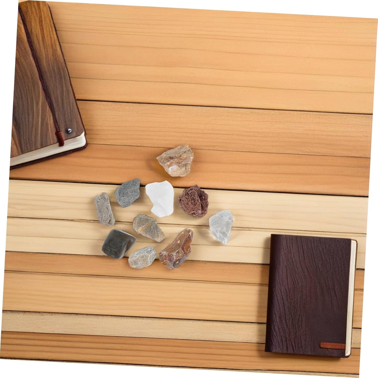 Angoily 1 Set Geology Kit Rock Specimens for Classroom Home Learning Includes Pumice Granite Marble Sandstone Fossils More Rock Identification Tool for Young Geologists
