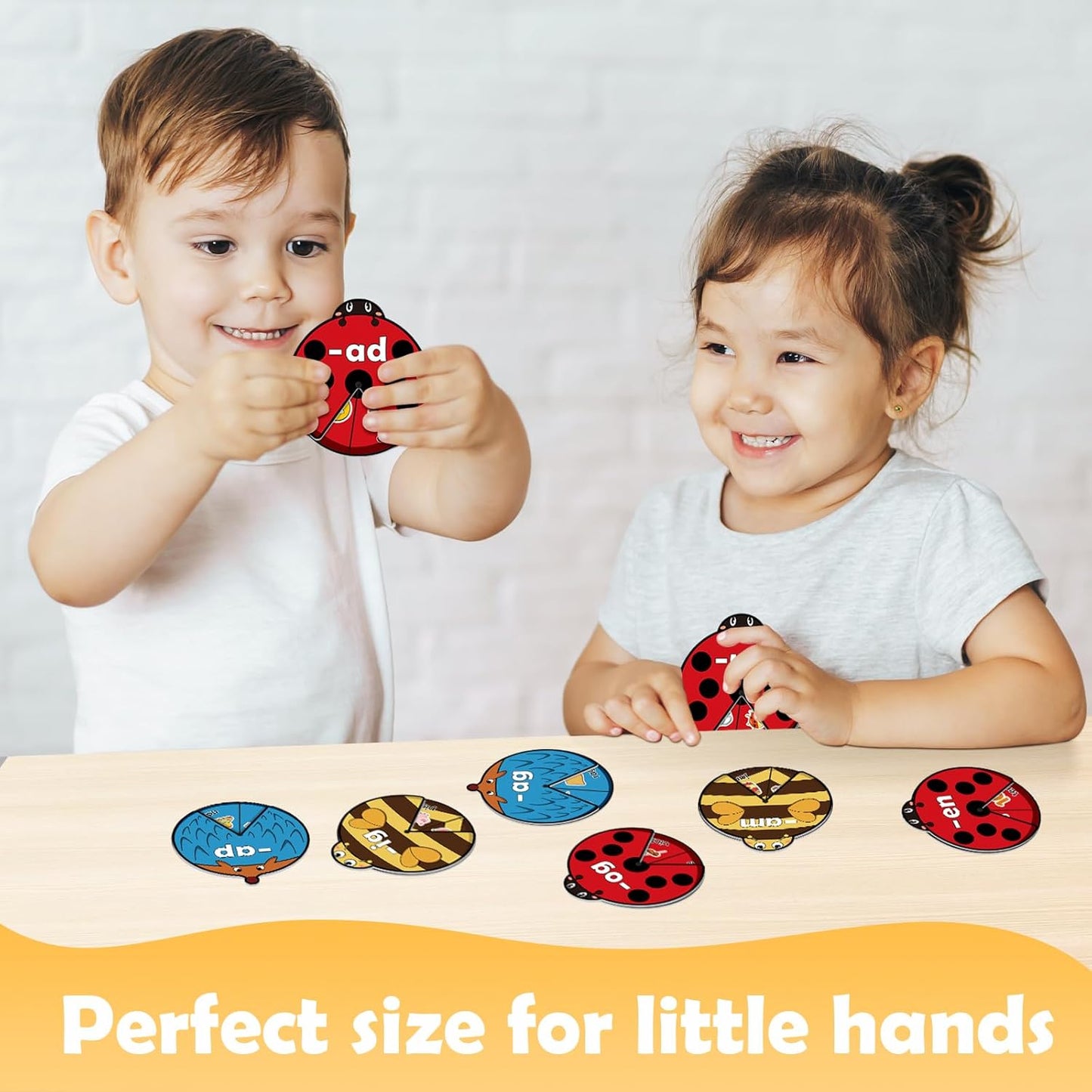 Kasfalci Life Cycle Toys for Kids,Animal Plant Insect Bug Ladybug Butterfly Tadpole to Frog Kit,Montessori Learning & Education Toys,Preschool Science Learning Activities for Toddlers,Board Card Games