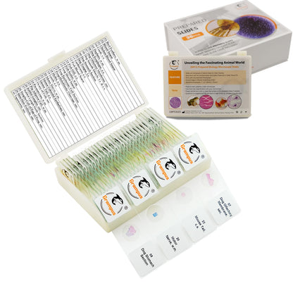30 Prepared Microscope Slides with Specimens for Kids Students - Plants, for Biological Science Lab, Children's Science Education, Homeschooling Use