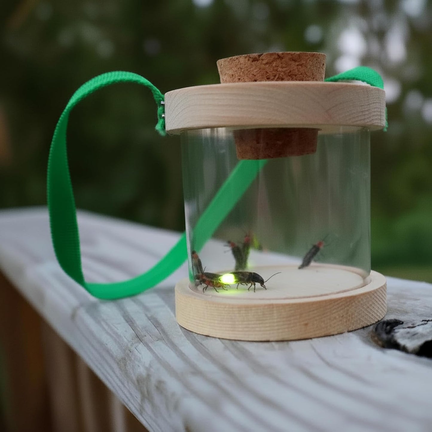 Wooden Bug Box for Kids, Dual Chamber Insect Habitat with Nylon Carrying Strap