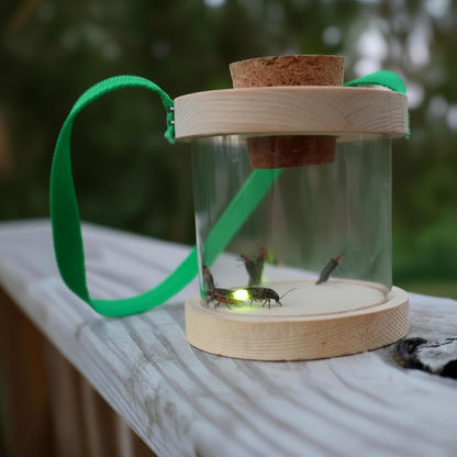 Wooden Bug Box for Kids, Dual Chamber Insect Habitat with Nylon Carrying Strap