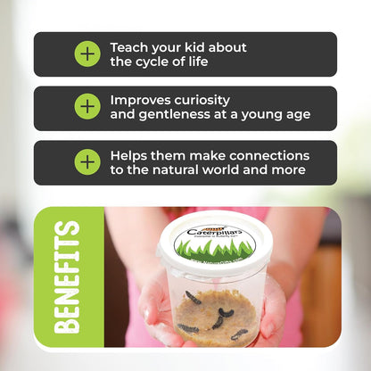 5 Live Caterpillars for Butterfly Habitat Kit - Refill for Painted Lady Butterfly Kit with Rearing Supplies and Book Bundle