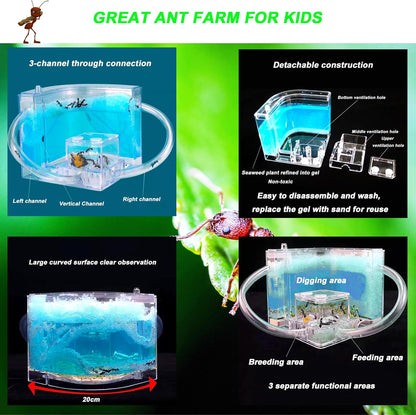 EXBEPE Ant Farm for Kids - Gel Castle Colony Ecosystem Terrarium Kit, Habitat Science Learning Kit