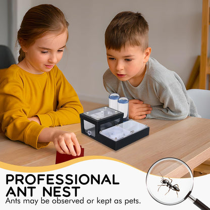Ant Farm Nest - Educational Habitat - Black and White Acrylic Design with Built-in Water Tower and Clear Observation Area (S)