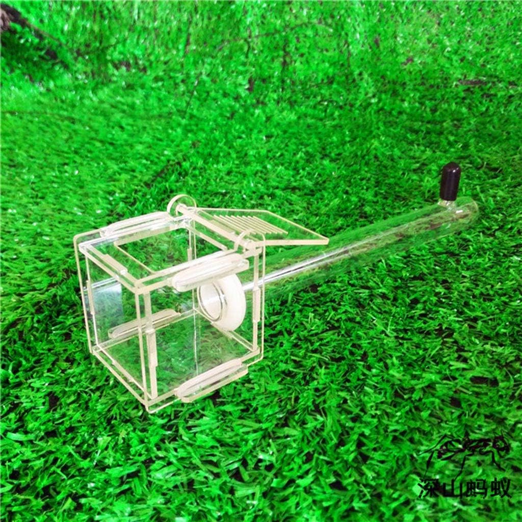 Nest Ants Farm House Glass Tubes Nest Nest Acrylic Farm Gifts For Kids