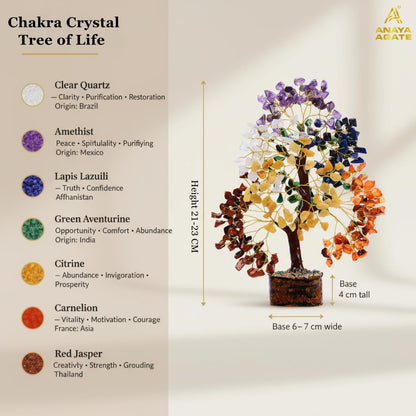 ANAYA AGATE 7 Chakra Healing Crystal Tree of Life Kit, Bracelet, Pendant, Necklace, Feng Shui Money Bonsai Tree, Positive Energy for Women, Mom, Sister and Housewarming Decoration