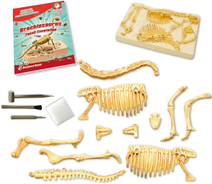 Science4you Triceratops Dinosaur Fossil Digging Kit - Excavate and Assemble 10 Dino Bones, Dinosaur Archeology and Paleontologist Toys, Games, Gifts for Boys and Girls Age 6 7 8 9 10+