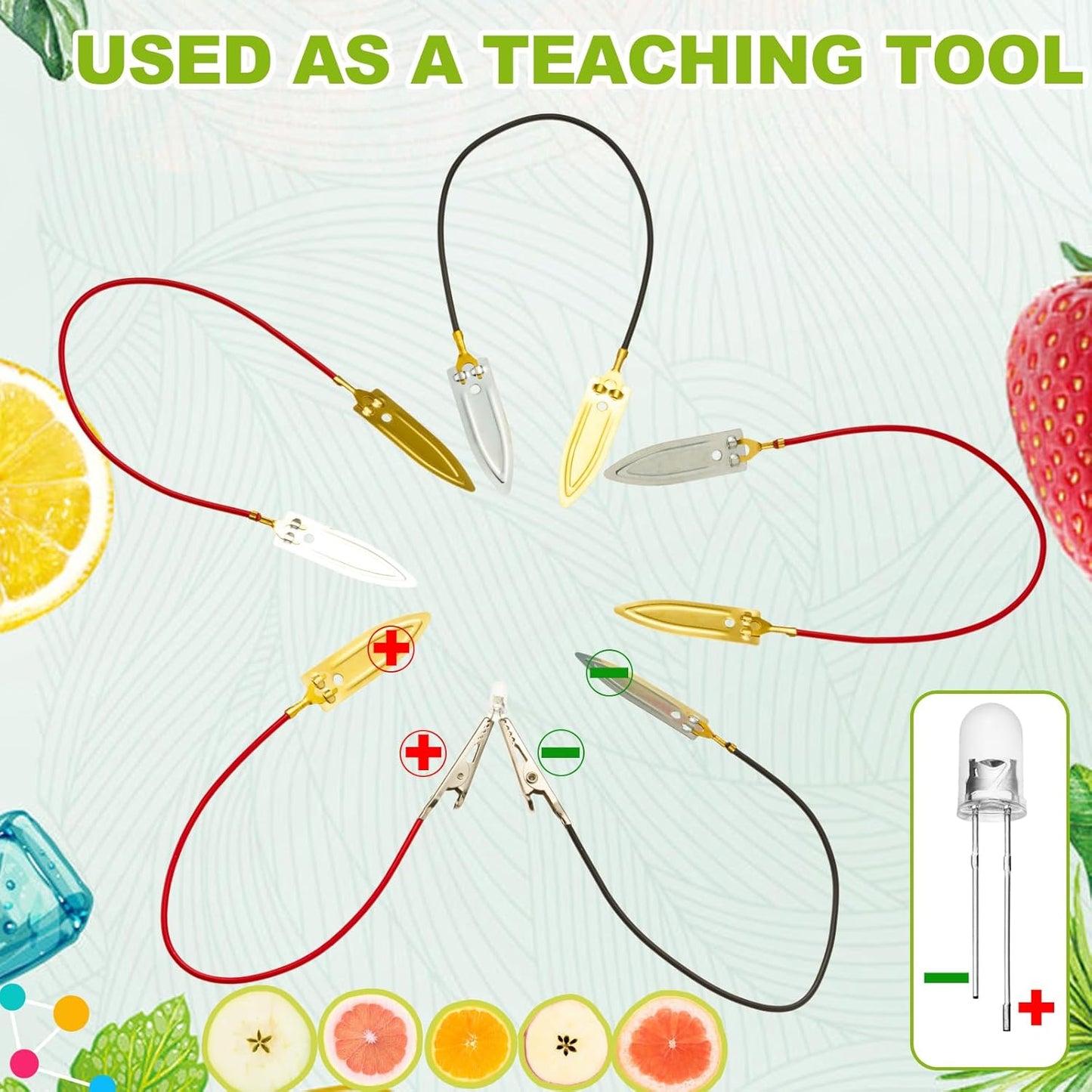 Soulchen 12 Sets Fruit Battery Scientific Experiment Kit with Electronic Clock for Home Teaching Accessories, Orange Lemon Potato Battery Physics Teaching Experiment Educational