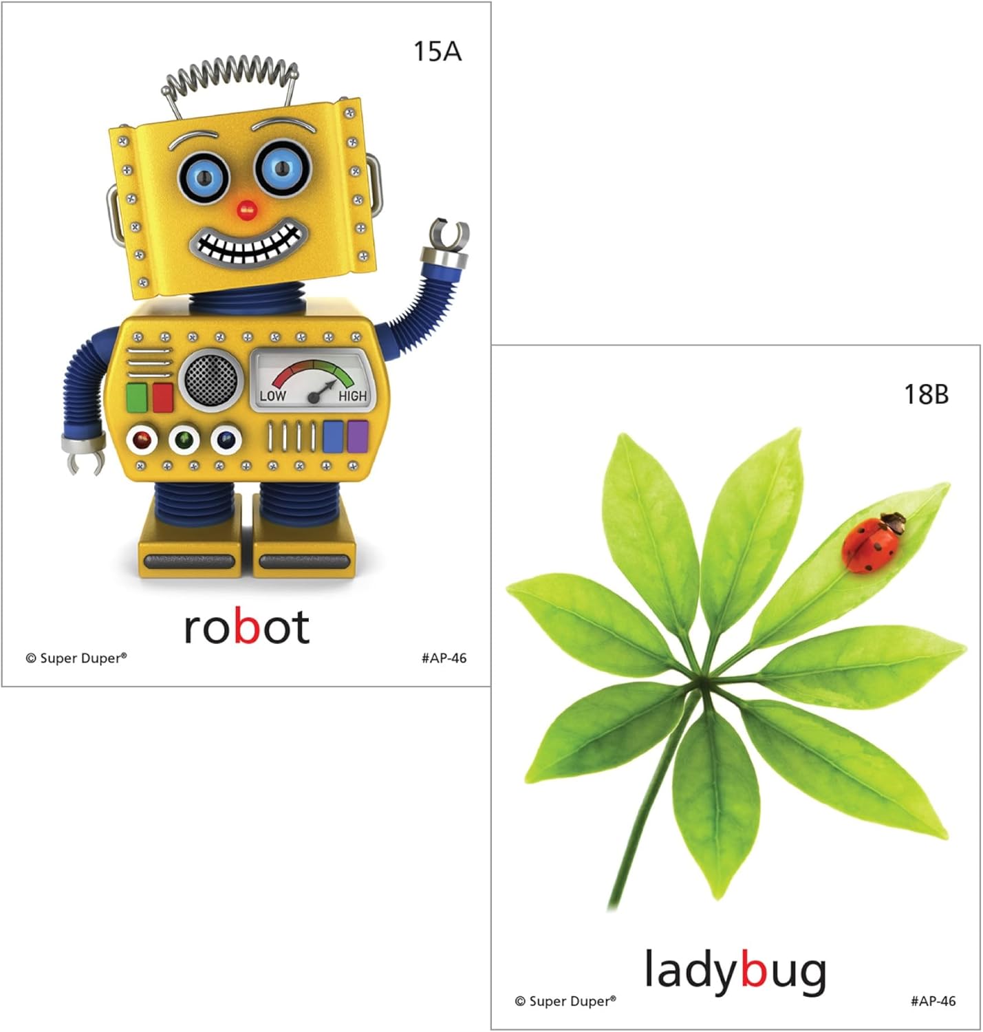 Super Duper Publications | Articulation Photos B Fun Deck Flash Cards | Speech Therapy - Articulation | Educational Learning Resource for Children