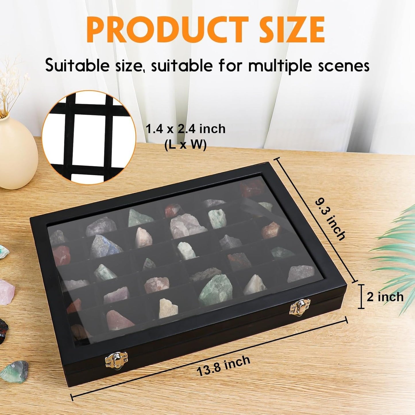 Rock Collection Box for Kids - Display Case for Collectibles - Storage and Display Shelf - Generation 2
