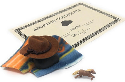 Rock Pet Adoption Kit Funny Novelty Gag Gift (Green Eyes)