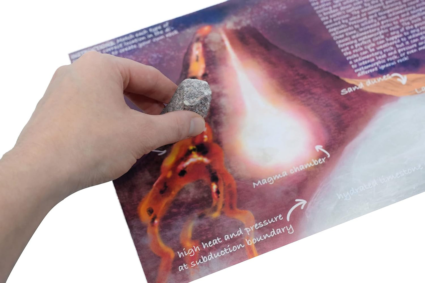 EISCO Rock Cycle Kit - 12 Pieces - Metamorphic, Igneous & Sedimentary Rocks - 1" Specimens - Geology Activity for Ages 8+