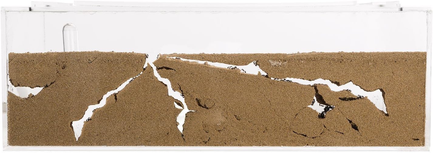 Sand Ant Farm Big - Anthill, Formicarium, Educational, Ants -