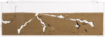 Sand Ant Farm Big - Anthill, Formicarium, Educational, Ants -