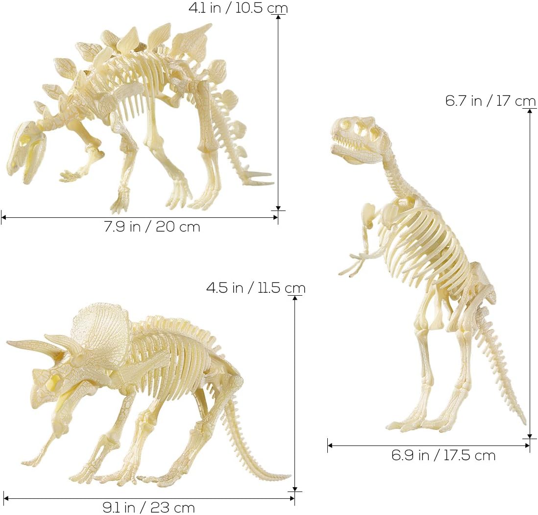 NUOLUX 3Pcs 4D Dinosaur Fossil Skeleton Toys DIY for Kids Fossil Skeleton Figure