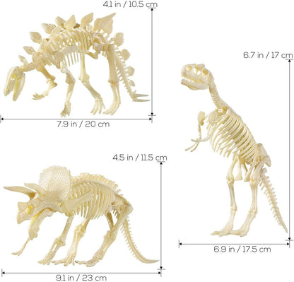 NUOLUX 3Pcs 4D Dinosaur Fossil Skeleton Toys DIY for Kids Fossil Skeleton Figure
