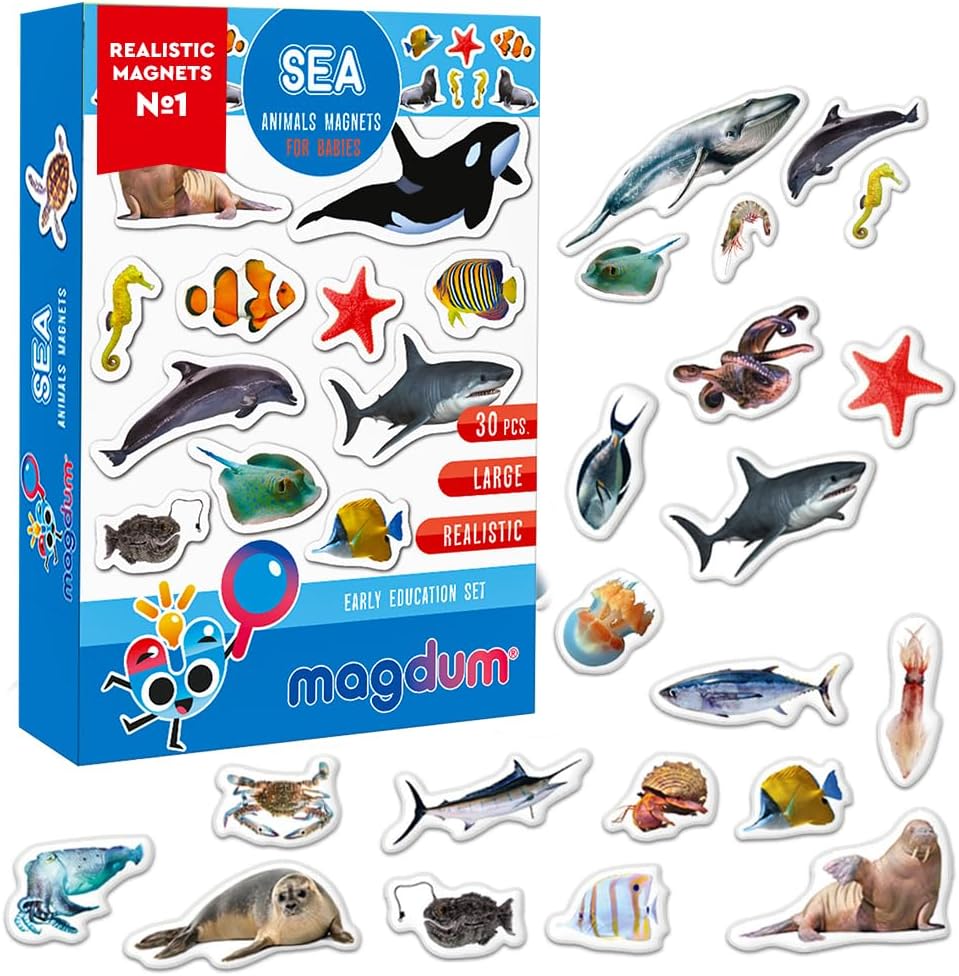 25 Fridge Magnets for Toddlers - Birds Photo Kids Magnets for Refrigerator – Real Magnetic Animals for Children – Big Realistic Magnet for Kids - Learning Toy Set - Baby Educational Gift