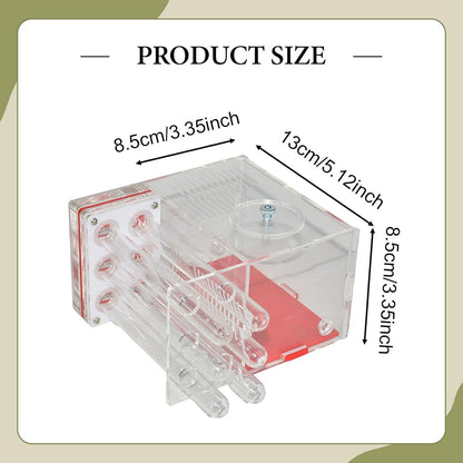 ANT Housing Nest ANT Farm Clear DIY Supplies Compact Workshop Habitat for Childrens Day Living Room Tabletop Bedroom Kitchen, 1.5cm