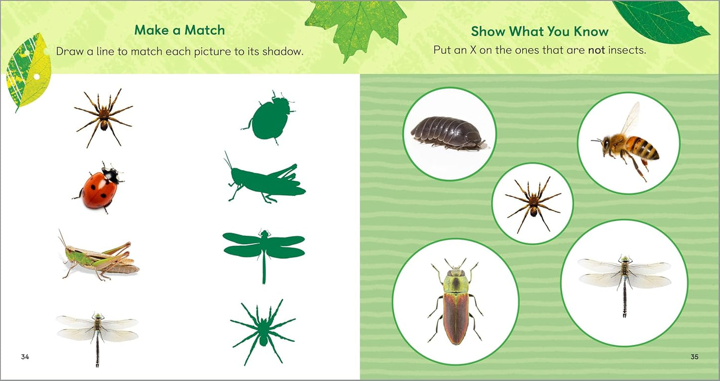 The Backyard Bug Book for Kids: Storybook, Insect Facts, and Activities (Little Scientists Learn)