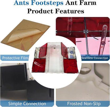 Ant Farm Nest Science DIY Terrarium Kit Care for Live Ants Ant Habitat with Water Tower Nurturing Room and Comprehensive Observation