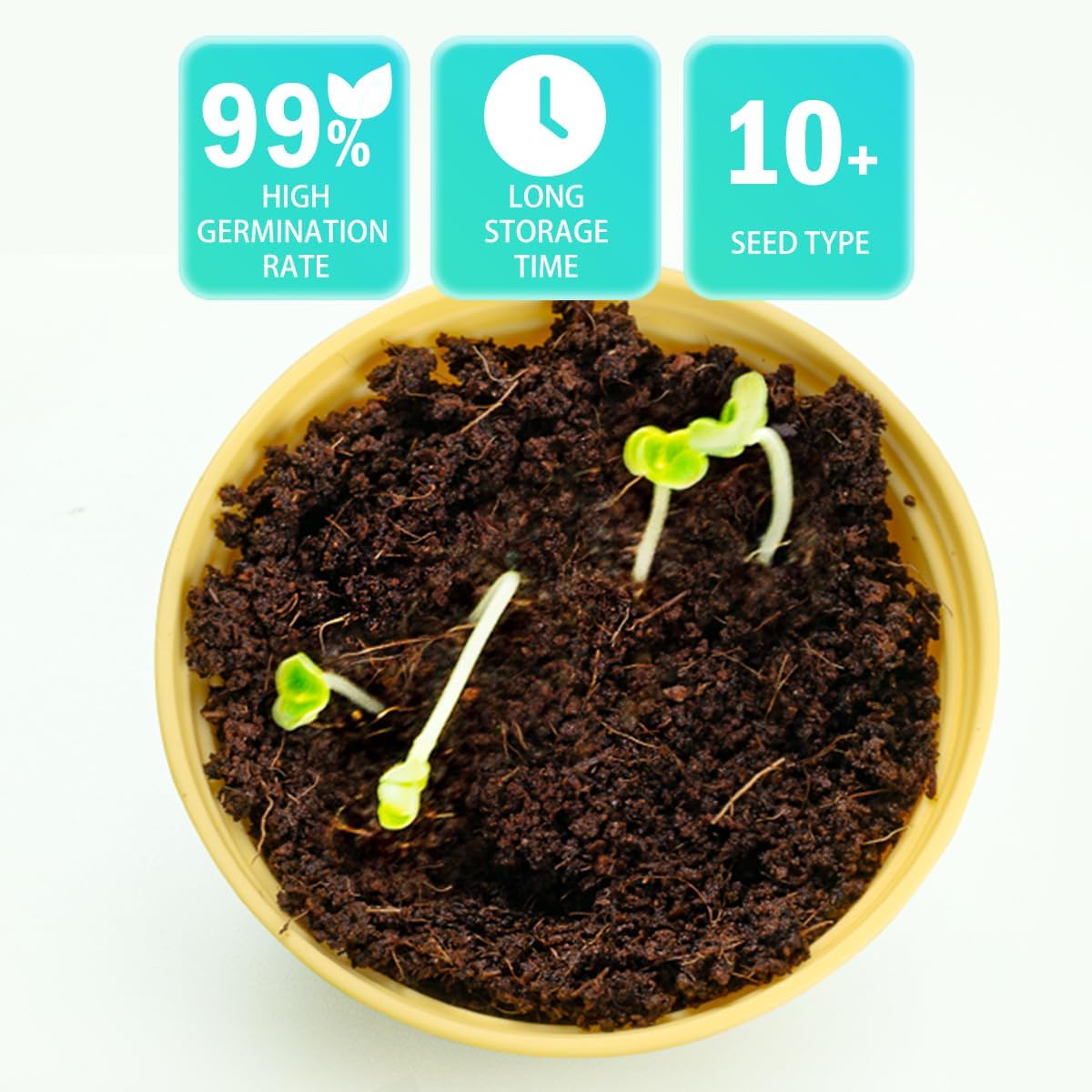 Kids Plant Growing Kit - Kids Greenhouse & Flower Growing Kit with Hydroponic Growing System, Thermometer,Wind Vane & Tools, Educational STEM Plant Growing Set