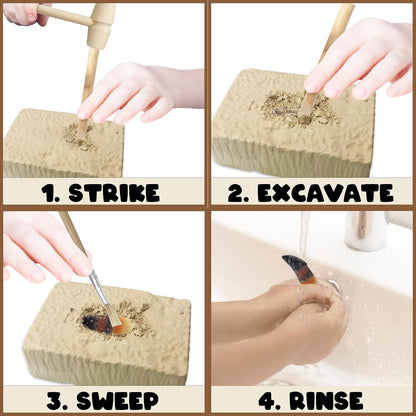 ArtCreativity Dino Teeth Dig and Discover Excavation Kit for Kids, Includes T-rex and Tarbosaurus Toy Fossil Teeth with 2 Digging Tools, Interactive Dinosaur Gifts for Boys and Girls