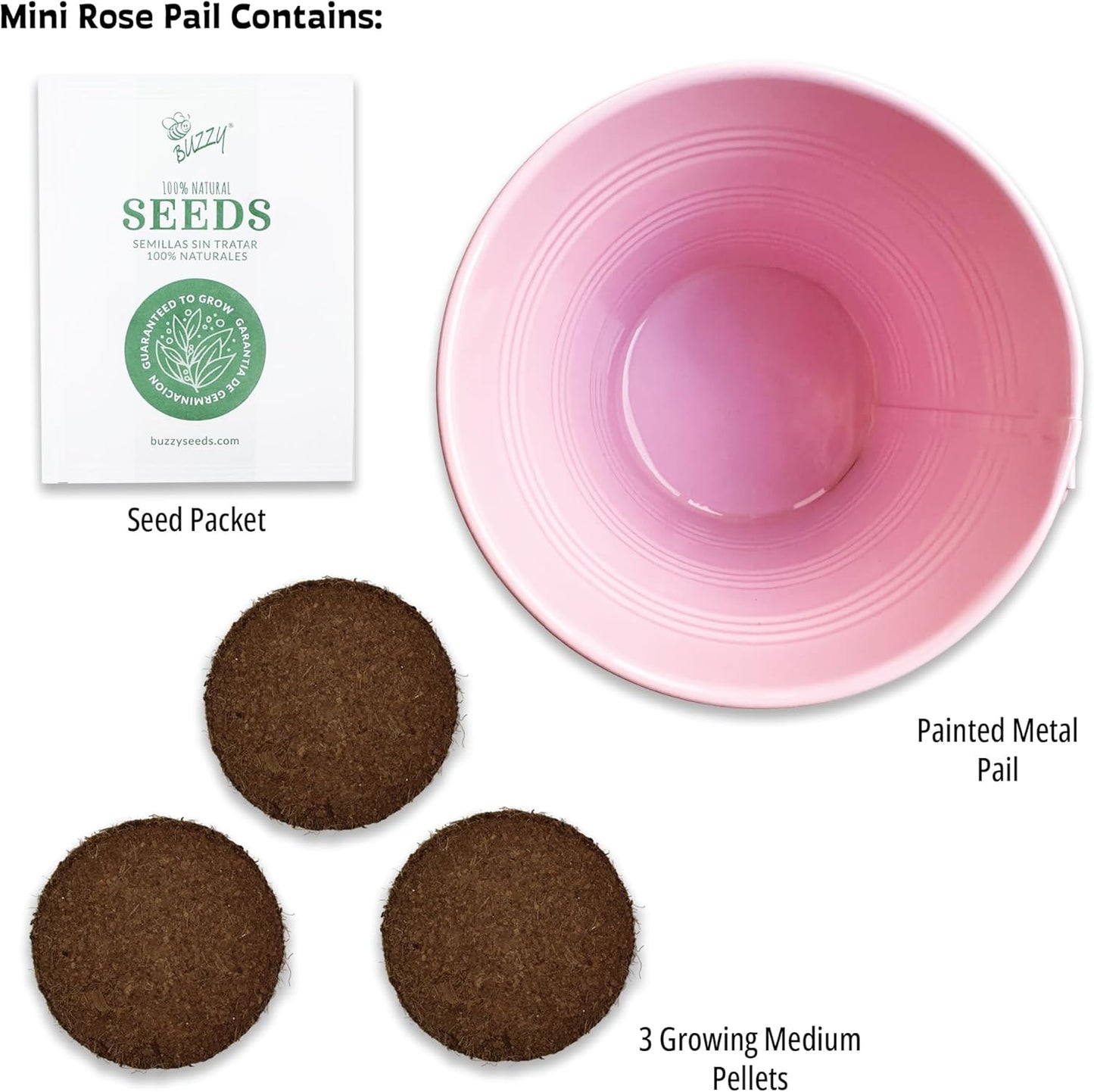 BUZZY Seeds Love Pails Grow Kit, 2-Pack – Valentine’s Day Mini Garden Gift with Colorful Pails, Mini Rose & Lavender Seeds, Growing Medium Included, Indoor Starter Seed Kit
