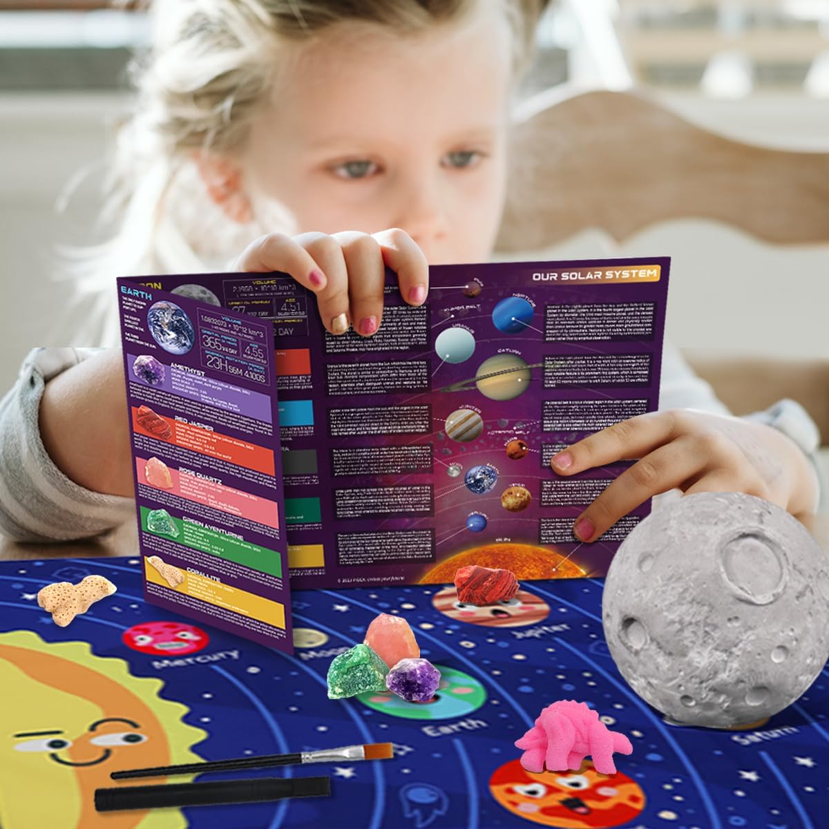 PIBEX Ocean Fossil Dig Kit, Dig up 20+ Real Shells & Seasnails, STEM Educational Activity Set Sea Creatures Excavation Toy for Kids, Marine Biology Geology Science Kit, Gift for Boys and Girls Age 6+