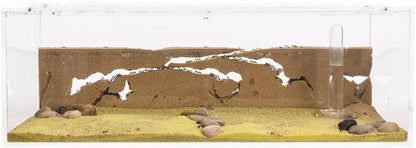 Sand Ant Farm Big - Anthill, Formicarium, Educational, Ants -