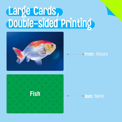 50 Verb Flashcards, Picture & Word Cards Action Language Builder Visual Aid Language Learning Tool for Autism, ESL Teaching Materials for Adults, Non-Verbal Children Vocabulary Builder for Kids