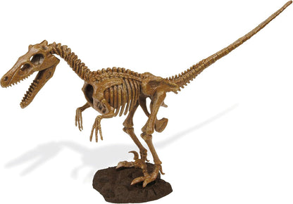 Uncle Milton Dr. Steve Hunters-Paleo Expedition Dino Dig Excavation Kit Velociraptor-14 Piece-Scientific Educational Toy