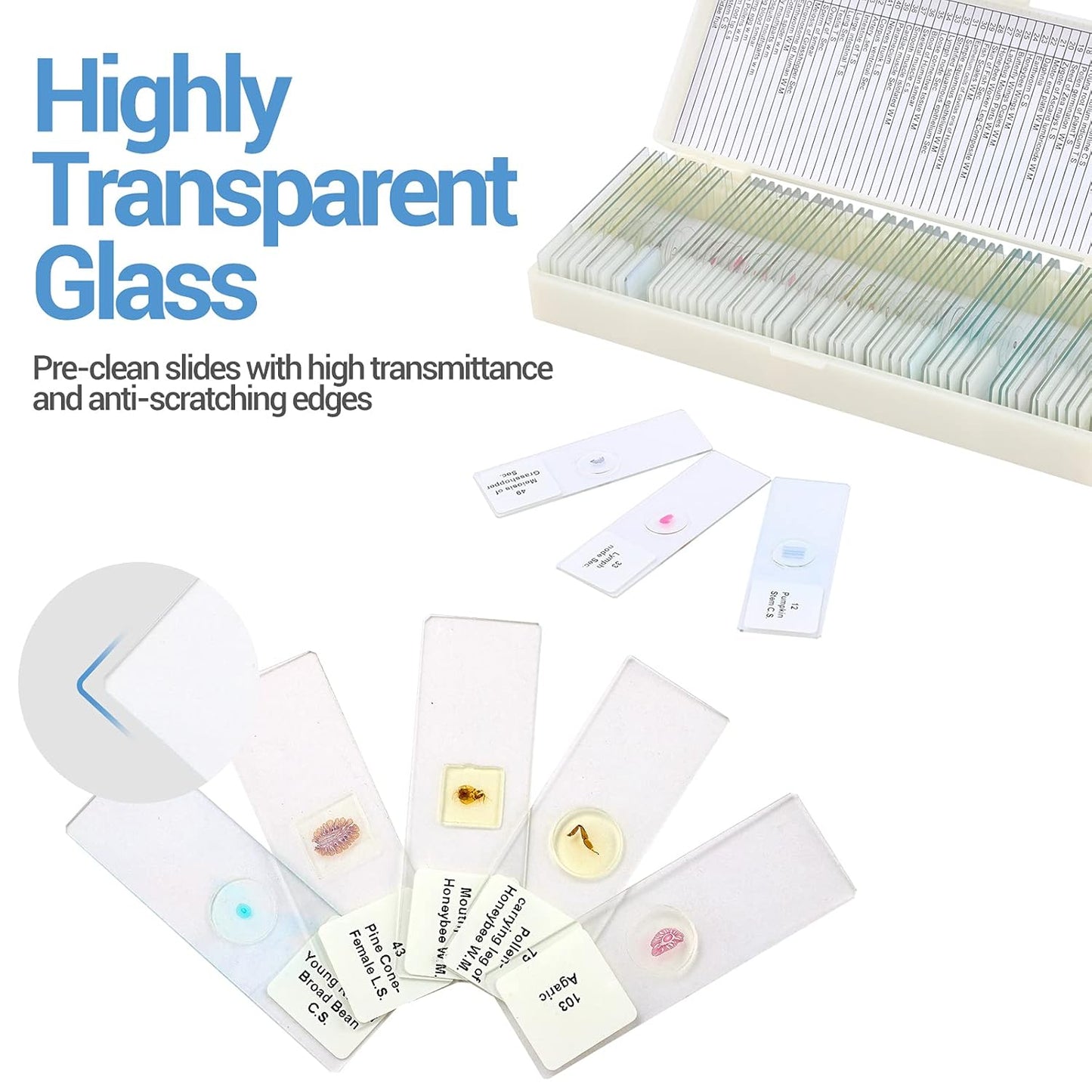 30 Microscope Slides with Specimens for Kids, Prepared Microscope Slides for Kids Microbiology, Glass Slides for Microscope, Biology Gifts for Adults Kids