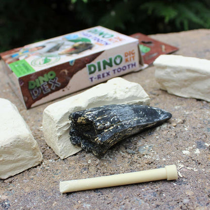 Safari Ltd. Dino Dexter T-Rex Tooth Excavation Kit - Realistic Dinosaur Dig Toy for Boys, Girls, and Kids 6+