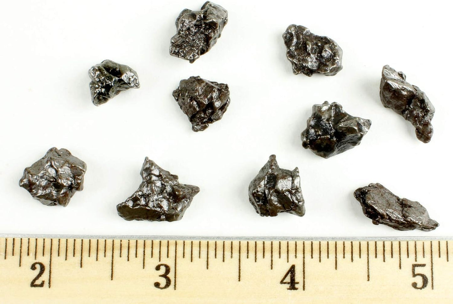 DANCING BEAR Meteorite from Space, 3 pcs Campo del Cielo from Argentina/Educational Card & Magnifying Box