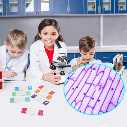 Prepared Microscope Slides for Kids, 48pcs Plastic Animals Insects Plants Flowers Sample Specimens for Students Children Homeschooling Biology Science Programs