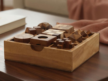 BSIRI 16 in 1 Wooden Brain Teaser Puzzles for Adults and Teens or Kids Interlocking 3D Mini Wood Mind Games Hand Puzzle Teasers Set Toys Coffee Table Games Gift