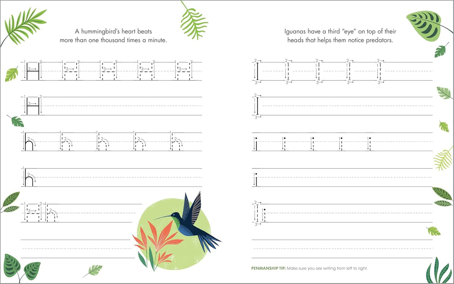 The Print Penmanship Workbook for Kids: Improve Your Handwriting with Fun Animal Facts