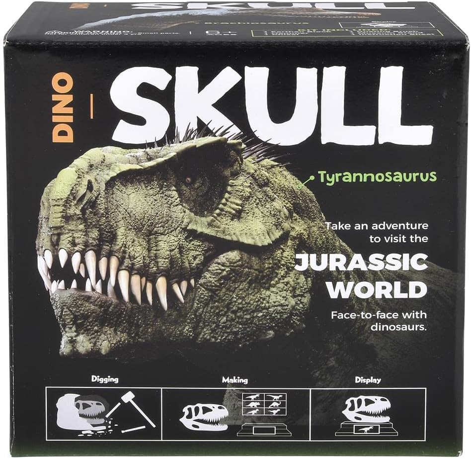 Rhode Island Novelty 6.5" Brachiosaurus Skull Excavation Kit, 1 Piece per Order