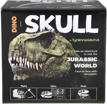 Rhode Island Novelty 6.5" Brachiosaurus Skull Excavation Kit, 1 Piece per Order