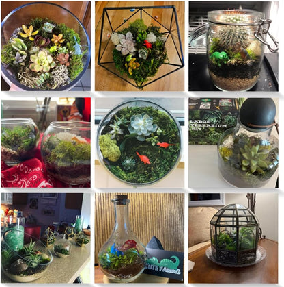 Cute Farms Terrarium Starter Kit | Moss, Vermiculite, Soil, Pebbles, Plant Food, & Finishing Tools (Large Kit + Crystals)