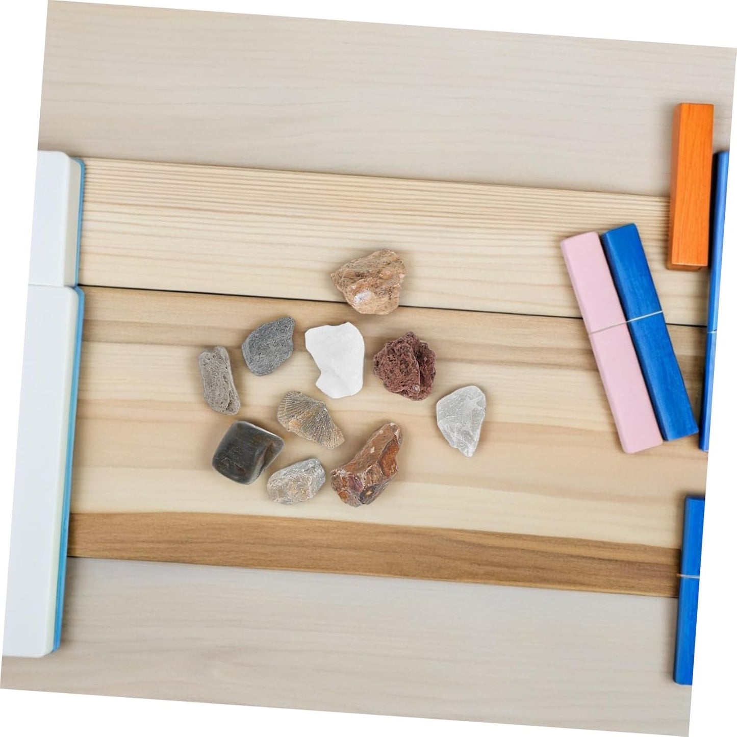 Angoily 1 Set Geology Kit Rock Specimens for Classroom Home Learning Includes Pumice Granite Marble Sandstone Fossils More Rock Identification Tool for Young Geologists