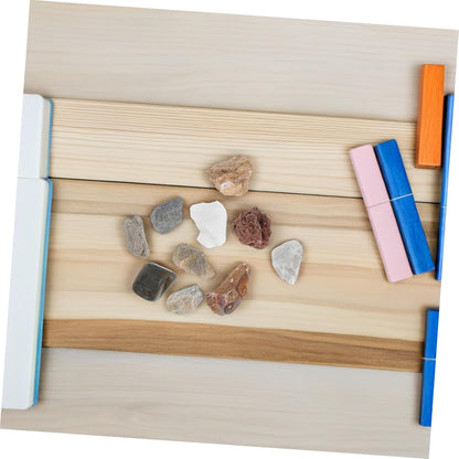 Angoily 1 Set Geology Kit Rock Specimens for Classroom Home Learning Includes Pumice Granite Marble Sandstone Fossils More Rock Identification Tool for Young Geologists