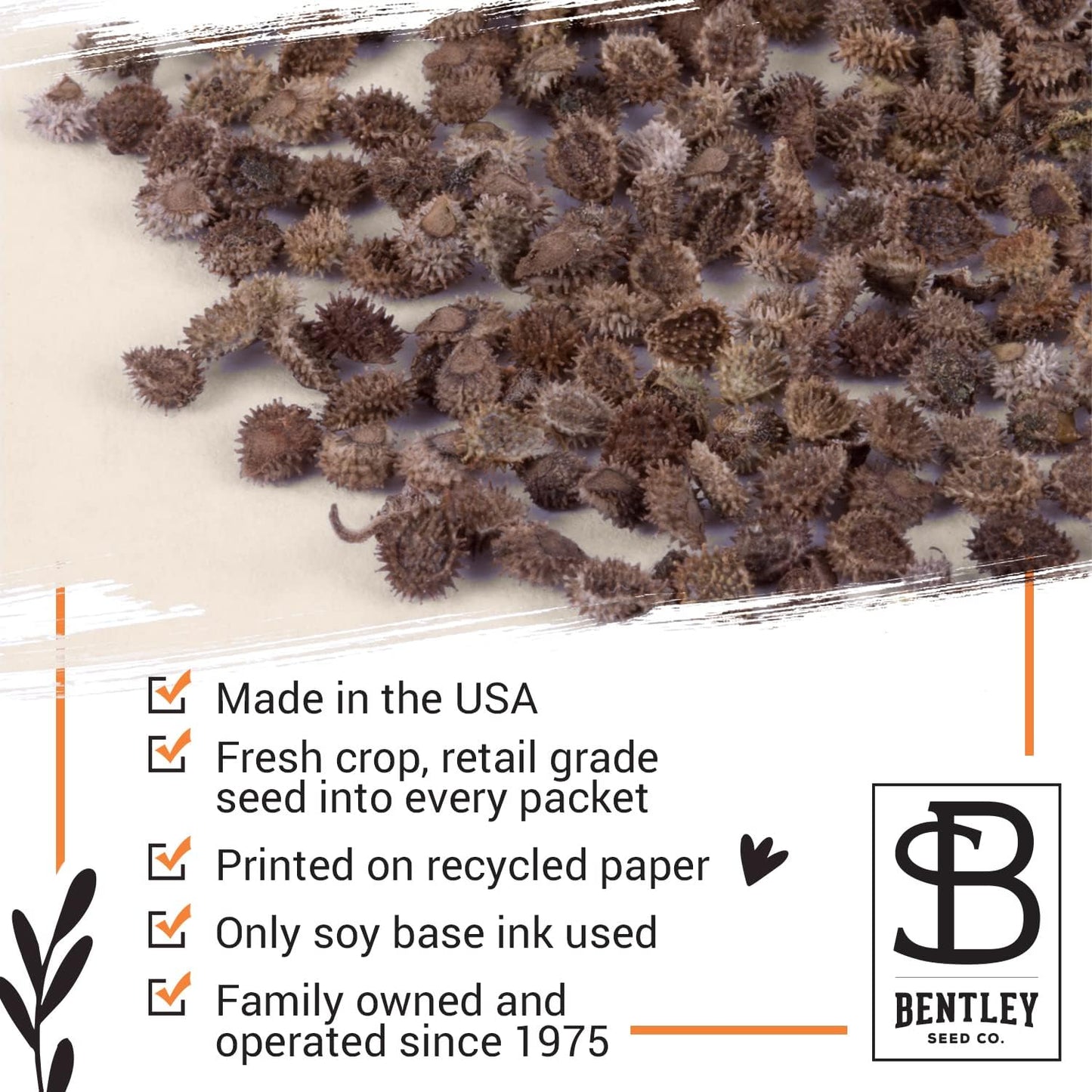 Grateful Memories Dove with Bird and Butterfly Mix Seed Favor Packets - Gardening Gifts - Wild Flower Seeds for Planting - Garden or Indoor Plant Flowers - Growing Plants in Memory