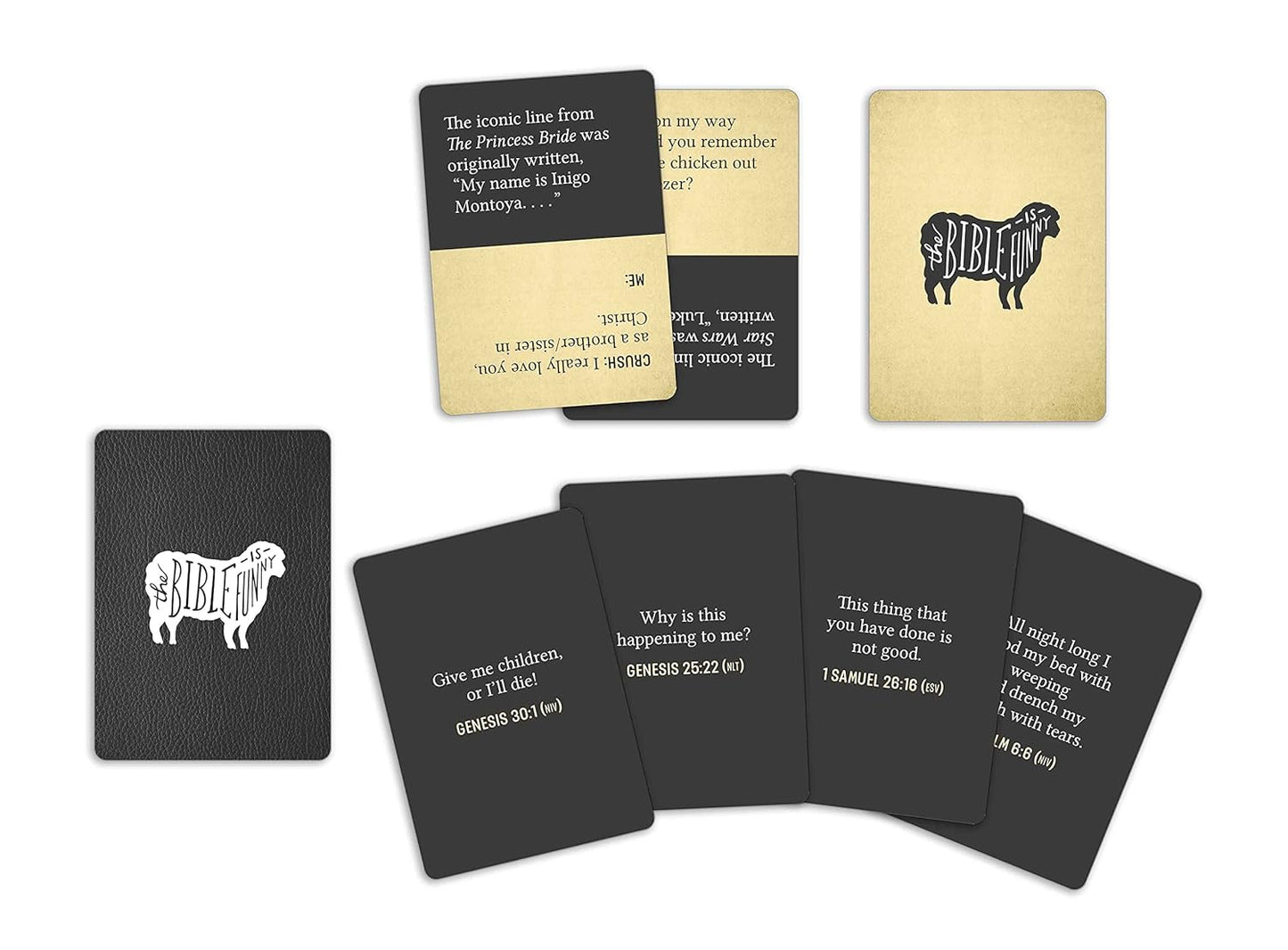 The Bible Is Funny Card Game: The Party Game of Hilarious Pairings for Verses Out of Context